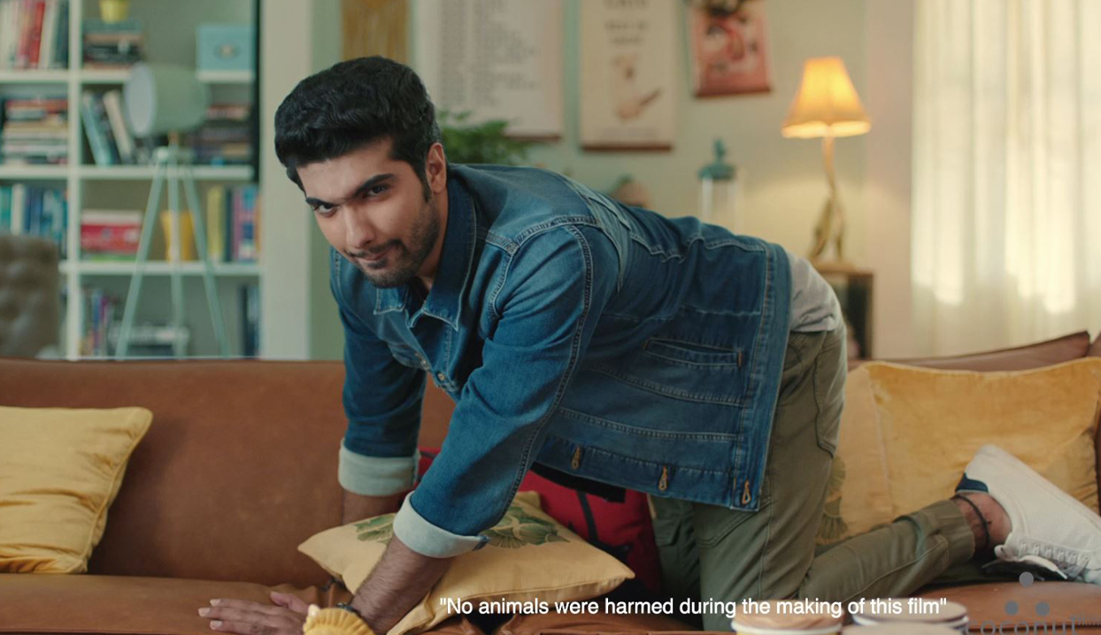 Kingfisher: Radler - Cat