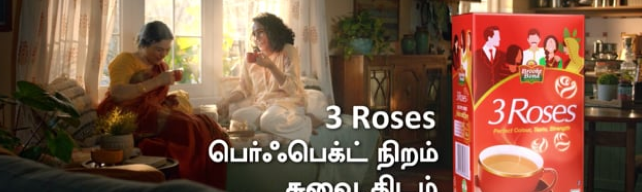 3 ROSES - NEW PACK