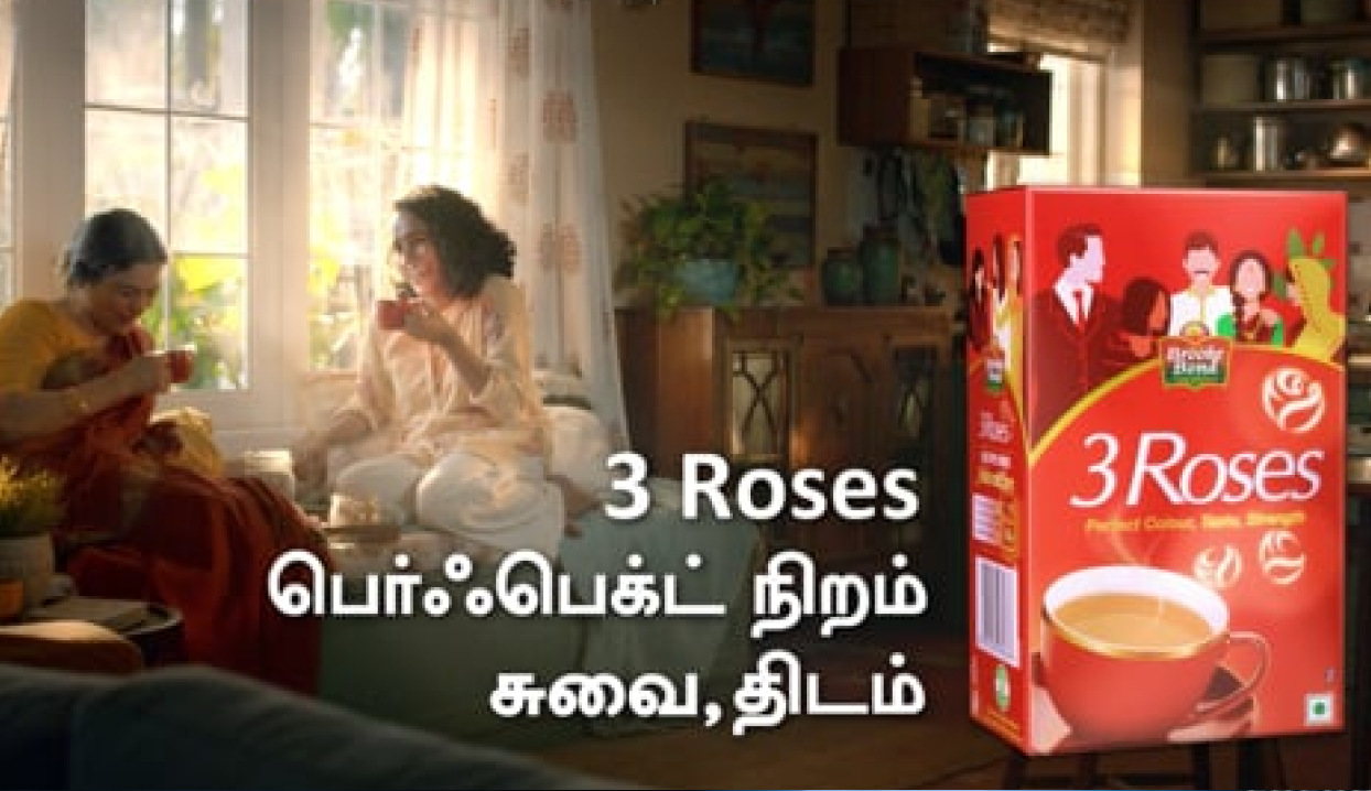 3 ROSES - NEW PACK